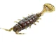 Силікон Alien Bug Lucky John Pro Series 2.5in / 63мм / 7шт / колір PA03 (140165-PA03) - изображение 1