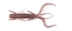 Німфа HOGY SHRIMP Lucky John Pro Series 3,5 in/S19*5 (140174-S19) - зображення 2