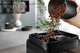 Ekspres do kawy Delonghi Magnifica Evo Next ECAM310.60.B - obraz 9