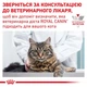 Сухий корм для дорослих котів Royal Canin Urinary S/O Cat 1.5 кг (3182550711159) (39010151) - изображение 7