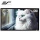 Проекційний екран ELITE SCREENS ER150WH1 настінний натяжний 150" 332x187см 16:9 - зображення 14