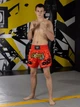 Тренувальні MMA шорти для тайського боксу, єдиноборств Sanda, UFC для спорту another boxer червоні, нар. XS (5-7 років)) - зображення 4