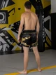Тренувальні MMA шорти для тайського боксу, єдиноборств Sanda, UFC для спорту another boxer чорний/золотий, р. XS (5-7 років)) - изображение 6