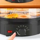 Универсальная cушка для овощей и фруктов Rainberg RB-912 800 Вт электрическая сушилка для ягод и грибов Черная - изображение 2