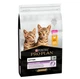 Сухой корм Purina Pro Plan Kitten Healthy Start для котят с курицей 1.5 кг - изображение 1