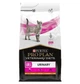 Сухой диетический корм для кошек при мочекаменной болезни Purina Pro Plan Veterinary Diets UR ST/OX Urinary с курицей 5 кг - изображение 1