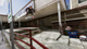 Gra Xbox Skater XL (DVD) (884095197308) - obraz 2