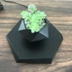 Магнітний левітуючий горщик для рослин Levitating Pot Black - зображення 5