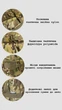 Сумка баул рюкзак военный Оберег 110л 87*43 см мультикам - изображение 8