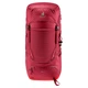 Дитячий туристичний рюкзак Deuter Fox 40 masala-cherry (36112225597) - зображення 6