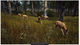 Gra Xbox Series X Way of the Hunter (Blu-ray płyta) (9120080077974) - obraz 3