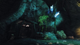 Gra Nintendo Switch Risen (Kartridż) (9120080079077) - obraz 4
