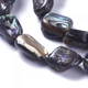 Бусины Морские Ракушки Пауа, Самородки, Красочный, 10-19х9-14х5-8мм, 27-29шт/38-38.5см/нить - изображение 4