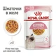 Корм влажный Royal Canin Kitten Instinctive in Jelly для котят 85 г (9003579311714) - изображение 3