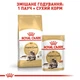Корм влажный Royal Canin Mainecoon Adult для кошек 85 г (9003579001219) - изображение 3