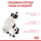Корм сухий Royal Canin Mother&BabyCat для вагітних годучючих кішок та кошенят 2 кг (3182550707312) - изображение 3