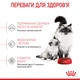 Корм сухий Royal Canin Mother&BabyCat для вагітних годучючих кішок та кошенят 2 кг (3182550707312) - изображение 4