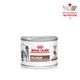 Корм влажный Royal Canin Recovery для кошек для поддержания и восстановления питания в период выздоровления 195 г (9003579307717) - изображение 1
