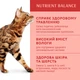 Корм вологий Optimeal для котів з індичкою в гарбузовом в соусі 85 г (4820215365857) - зображення 3