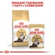 Корм сухий Royal Canin Persian Adult для котів перської породи 2 кг (3182550702614) - зображення 5