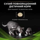 Корм сухий Purina Pro Plan Veterinary Diets HA Hypoallergenic для котів при харчовій алергії з куркою 325 г (7613287597526) - зображення 2