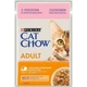 Корм вологий Cat Chow Adult для котів з лососем та зеленою квасолею в желе 85 г (7613036595063) - зображення 1