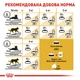Корм сухий Royal Canin Sphynx Adult для котів 2 кг (3182550758840) - зображення 4