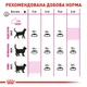 Корм сухий Club 4 Paws для котів з ефектом виведення шерсті з травної системи з куркою 2 кг (4820083909313) - зображення 2