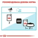 Корм вологий Royal Canin Urinary Care для котів для підтримки здоров'я сечовивідної системи 85 г (9003579000366) - зображення 5