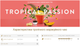 Чай в капсулах для кавоварок Dolce Gusto "Tropical Passion" 10 капсул (потрібен адаптер) - изображение 3