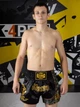 Шорти для тайського боксу TOP KING BOXING | Тренувальні Muay Thai для ММА, кікбоксингу та єдиноборств (чорний/золотий, р. L(зріст 165-175 55-65кг) - изображение 8