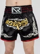 Тренувальні MMA шорти для тайського боксу, єдиноборств Sanda, UFC для спорту another boxer чорний/серебряный, р. XS (5-7 років)) - изображение 1