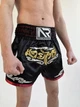 Тренувальні MMA шорти для тайського боксу, єдиноборств Sanda, UFC для спорту another boxer чорний/серебряный, р. XS (5-7 років)) - изображение 6