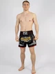 Тренувальні MMA шорти для тайського боксу, єдиноборств Sanda, UFC для спорту another boxer чорний/серебряный, р. L(зріст 165-175 55-65кг) - изображение 5