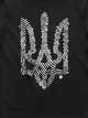 Футболка мужская Dubhumans Nation Code с гербом тризуб Черный 3XL (NC-TM-B-3XL) - изображение 2