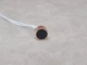 Золота моносережка-пуссета з емаллю. 210045/1 - зображення 1