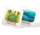 Розумні картки. Старт мовлення - зображення 8