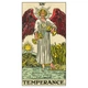 Карты Таро Оригинал 1909 - Tarot Original 1909. Lo Scarabeo - изображение 2