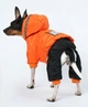 Зимний комбинезон для собак Dog S Оранжевый - изображение 4