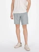 Шорты короткие мужские Colin's CL1074528FGR S Light Green (8684112718996) - изображение 1
