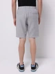 Шорты короткие мужские Colin's CL1074083GRA L Gray (8684112718170) - изображение 2