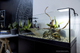 AquaTerrarium AquaEl 100 (5905546329248) - obraz 5