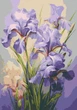 Картина по номерам "Нежные ирисы" Riviera Blanca 28x40 см RB-1137 - изображение 1