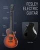 Электрогитара Fesley FLP350 SB (комплект) - изображение 2