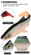 Велика силіконова приманка Spinpoler 3D Swing Roach, 20см/84гр, Color F (1 шт/уп) - изображение 2