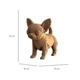 3D пазл Cartonic Chihuahua puppy (CARTMNCHIHU) - зображення 11