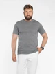 Футболка чоловіча сіра з бавовняго джерсі Arber T-SHIRT FF19 M зріст 4 сірий (M13.17.14.521) - изображение 2
