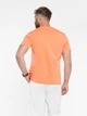 Футболка чоловіча коралова з бавовняго джерсі Arber T-SHIRT FF19 L зріст 5 кораловий (M13.19.37.521) - изображение 4