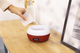 Зволожувач повітря Cecotec Pure Aroma 550 Connected Garnet Червоний (5645) - зображення 11