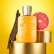 Парфюмированная вода для мужчин Parfums de Marly Perseus 125 мл - изображение 4